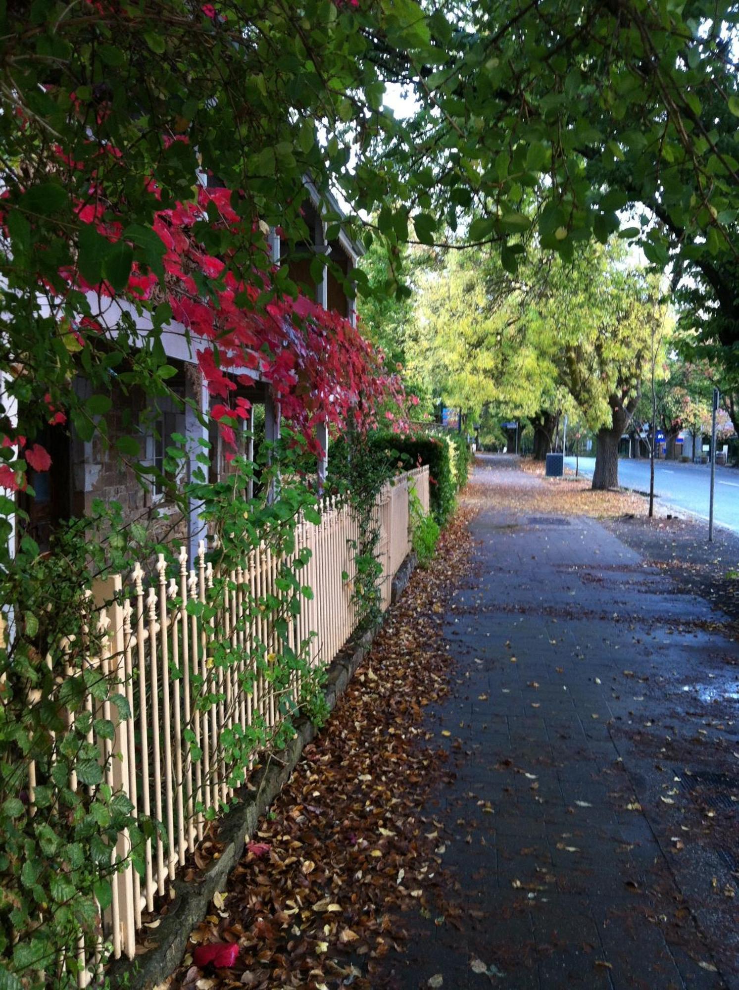 Amble At Hahndorf Bed & Breakfast Exterior foto